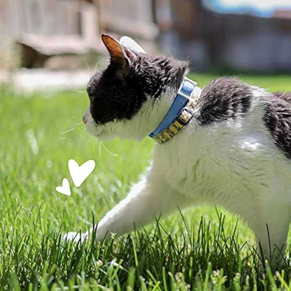Flea & Tick Collar for Cats G35500