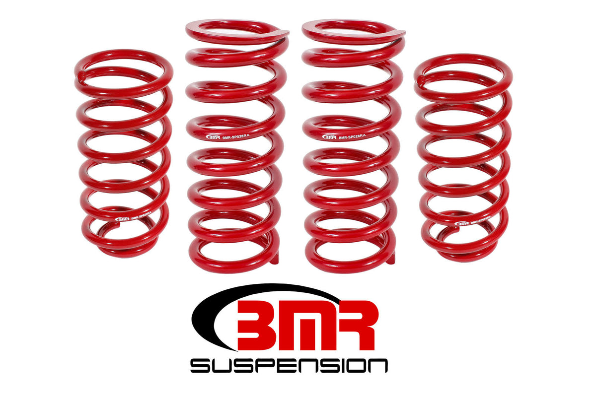 Lowering Spring Kit 1in Drop R890342