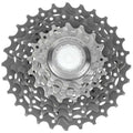 10 Speed Cassette D351028